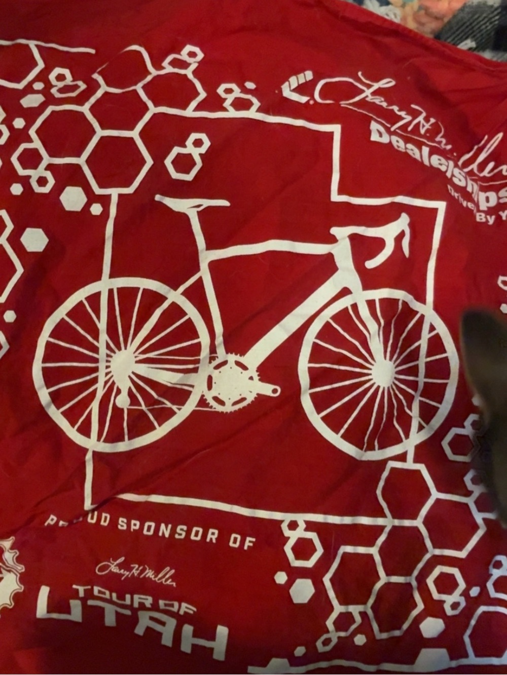 Red Graphic Cycling bandana- Design